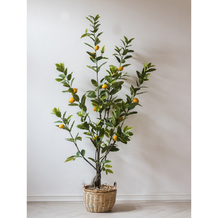 Gracie Oaks Faux Lemon Tree Wayfair